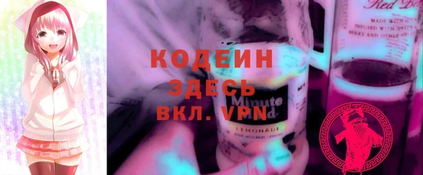 скорость Каменка