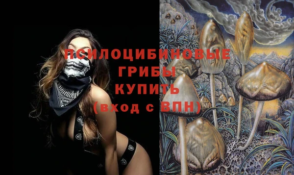 скорость Каменка