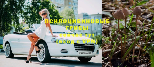 трава Каменногорск