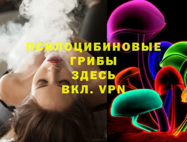 трава Каменногорск