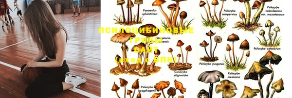 трава Каменногорск