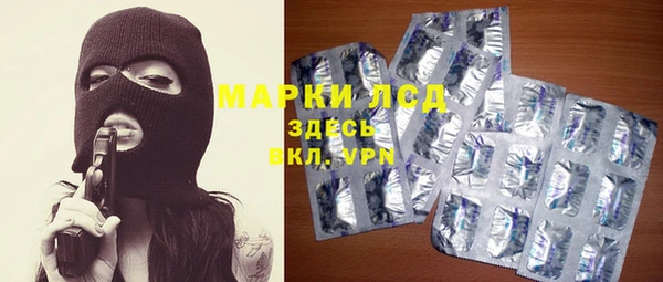 скорость Каменка