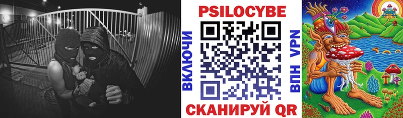 Псилоцибиновые грибы GOLDEN TEACHER  Купить  Апрелевка 